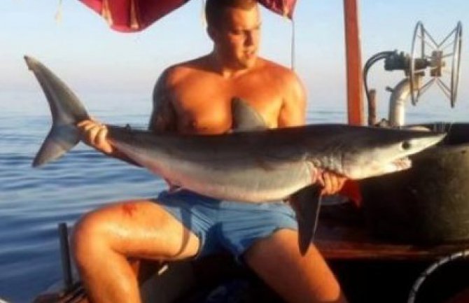 U Baru ulovljena mako ajkula