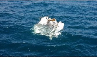 Pronađeni ostaci malezijskog aviona?