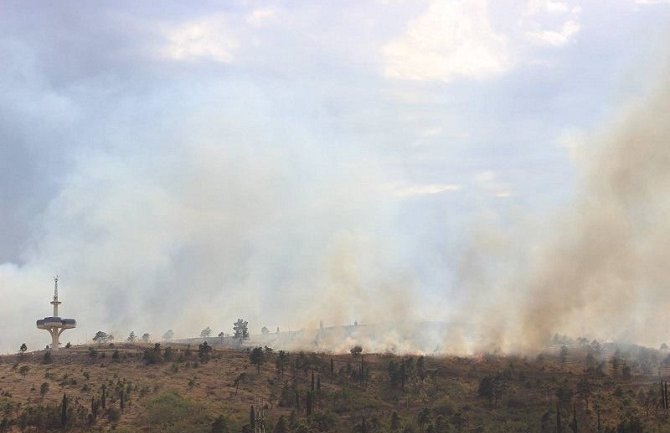 Samo jedan dromader može da gasi vatru!