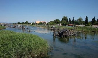 Za pomor ribe u Port Mileni krivi klima i fekalije