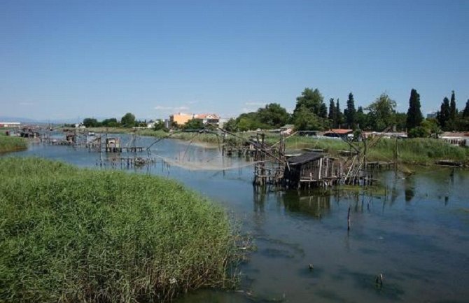 Za pomor ribe u Port Mileni krivi klima i fekalije