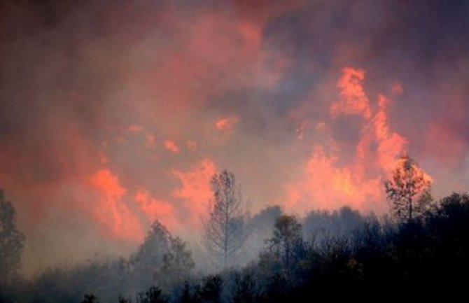 Zbog požara evakuisano 1.400 ljudi