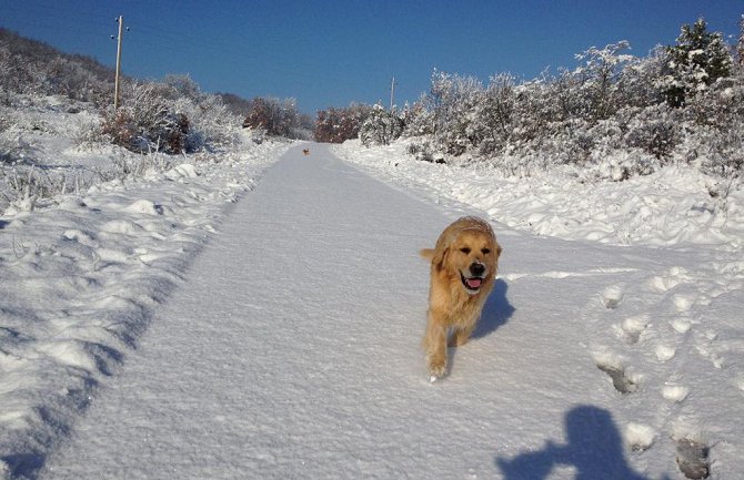 Pročitajte kakva nas zima očekuje