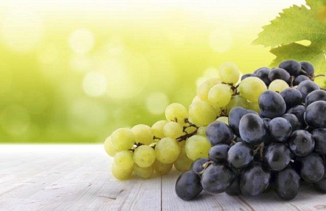 Srbi beru crnogorsko grožđe