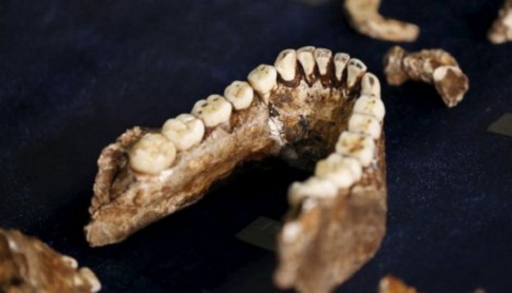 665159homonaledi05fotoreutersf