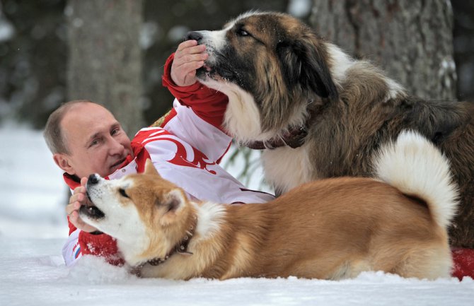 Motivacione fotografije Vladimira Putina 