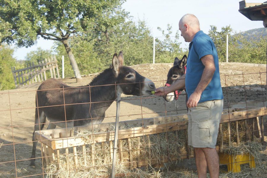 aapicture201509126271353web