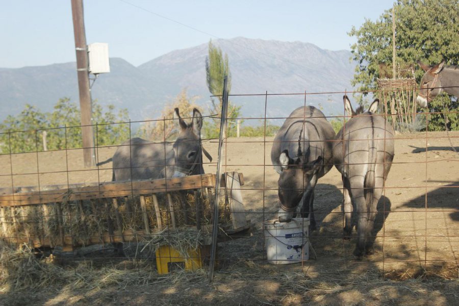 aapicture201509126271349web