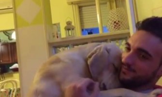 Izvinjenje ovog psa osvaja internet(VIDEO)