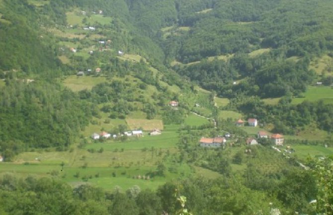 Plav: Poginuo dok je sjekao stablo smrče