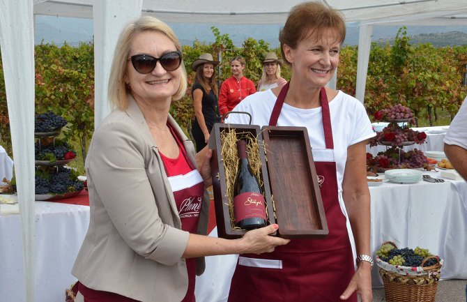 Ova godina će biti upamćena kao godina vrhunskih vina