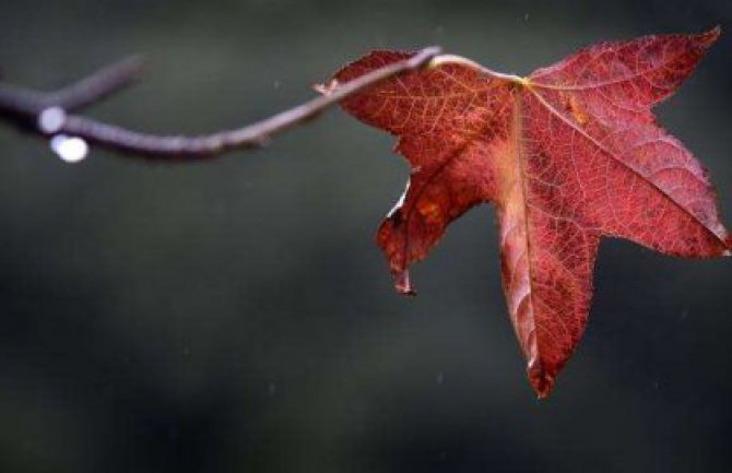 Narednih dana suvo uz porast temperature