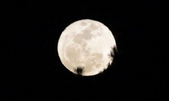 Naučno dokazano da su ova sujeverja tačna