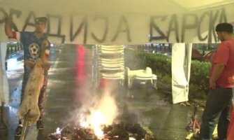 Ispred Skupštine demonstranti pekli prase (FOTO)