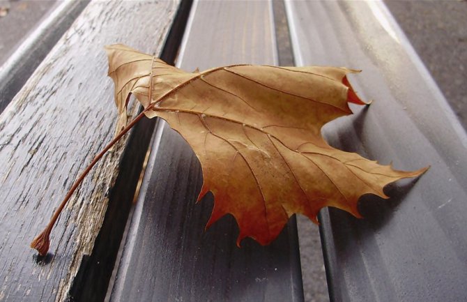 Evo kakvo nas vrijeme očekuje do srijede