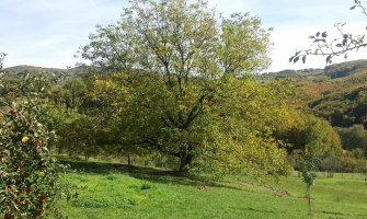 Narednih dana sunčano, porast temperature