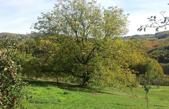 Narednih dana sunčano, porast temperature