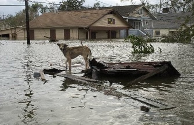 Poplave u Portugalu