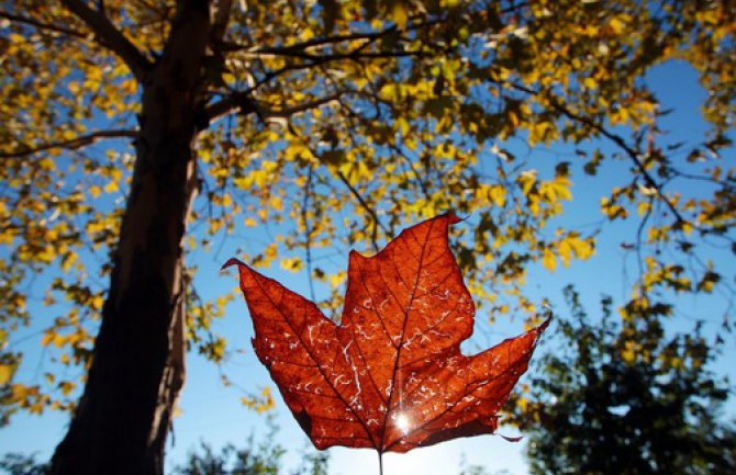 Do ponedeljka sunčano i toplo vrijeme za ovo doba godine