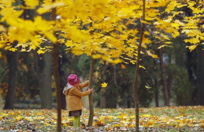 Evo kakvo nas vrijeme očekuje do srijede