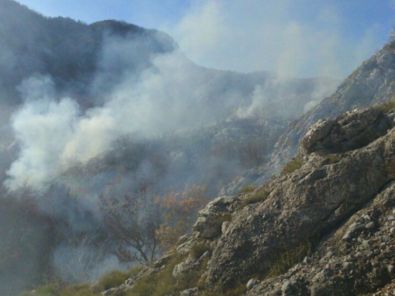 pozardubokido2111115