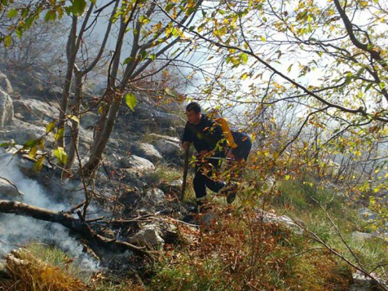 pozardubokido1111115