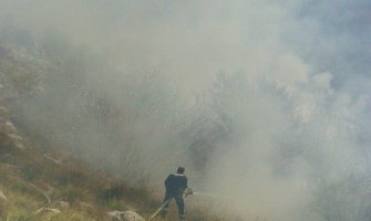 Herceg Novi: Veliki požar na lokalitetu Duboki do(FOTO)