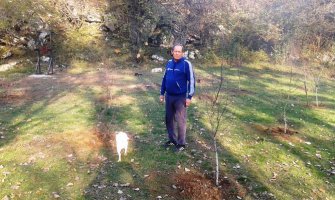 Aktivisti Društva mladih ekologa u „Eko parku Blace“ zasadili brezu, lipu i kedrove