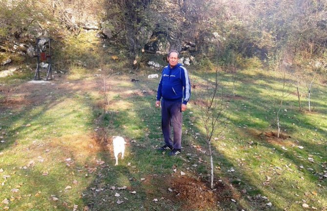 Aktivisti Društva mladih ekologa u „Eko parku Blace“ zasadili brezu, lipu i kedrove