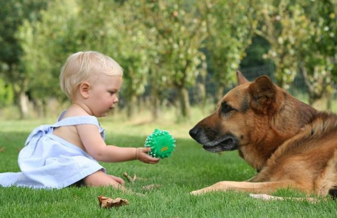 Ljubav prema kućnim ljubimcima jednaka je ljubavi prema djeci