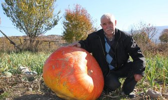 Poljoprivrednik uzgojio bundevu tešku 96kg (FOTO)