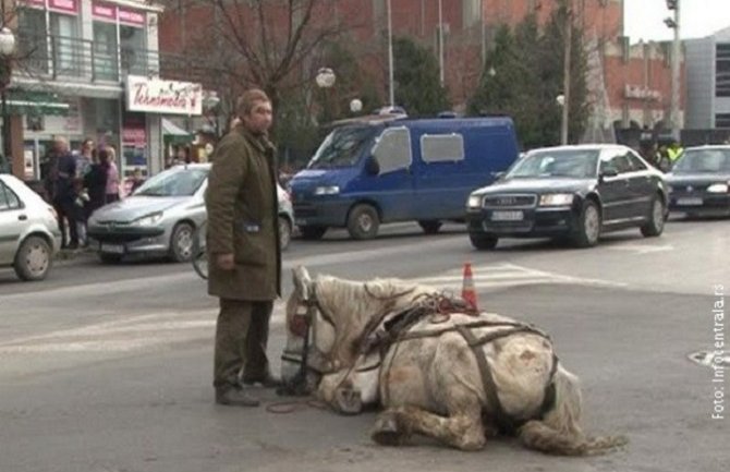 Šest mjeseci zatvora zbog prebijanja konja