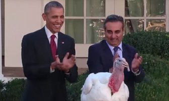 Obama pomilovao dvije ćurke