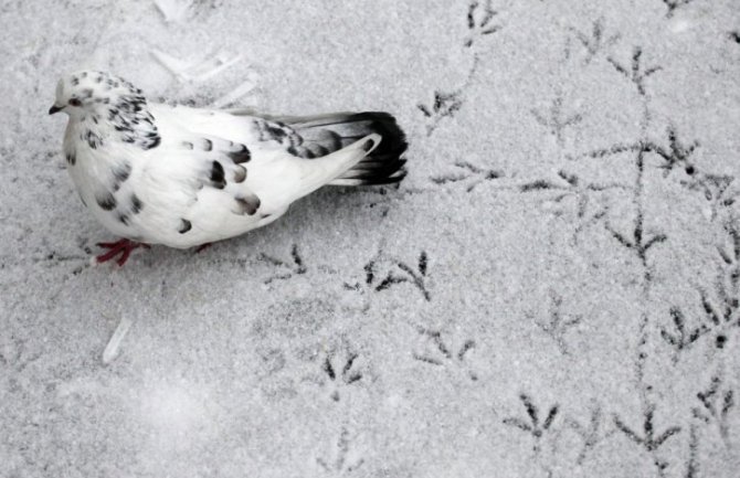 Evo kakvo nas vrijeme očekuje do utorka