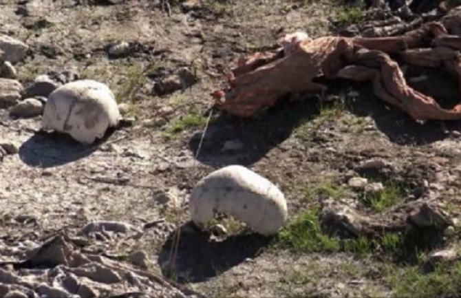 Na sjeveru Iraka nađeno najmanje 110 tijela Jazida