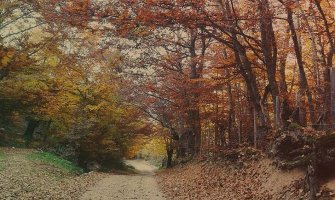 Sjutra promjenljivo oblačno, do 16 stepeni