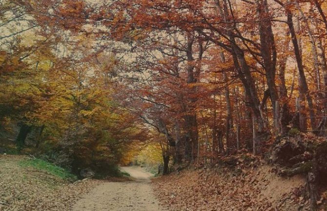 Sjutra promjenljivo oblačno, do 16 stepeni