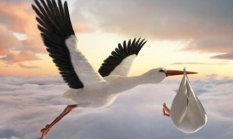 Crna Gora ima simboličan prirodni priraštaj, Srbija i Hrvatska 