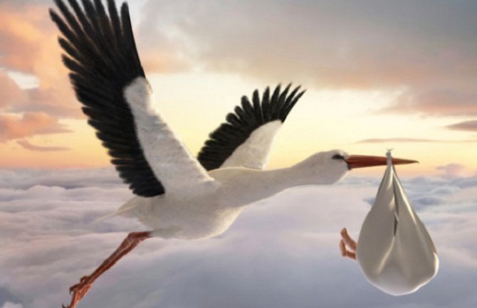 Crna Gora ima simboličan prirodni priraštaj, Srbija i Hrvatska 