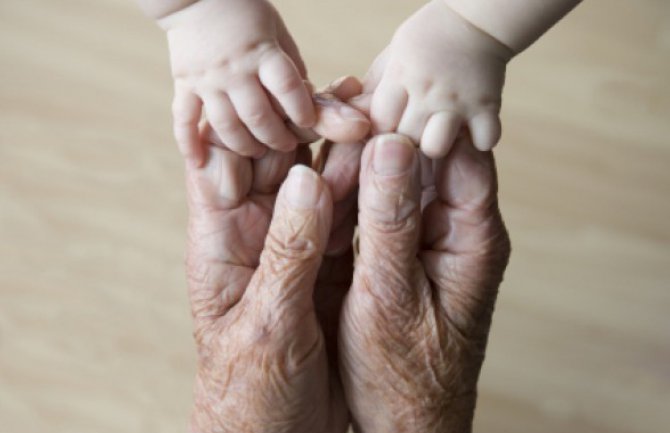 Duković: Bez mladih nema opstanka nijednog društva