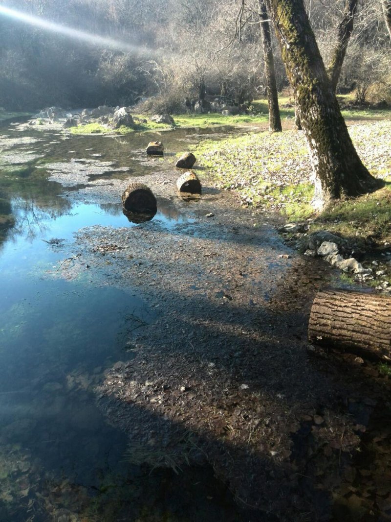 image7e9d0662977ee0e68051d826c655e6c0d4a234bccf1ebe7c23b739c964317d3aV