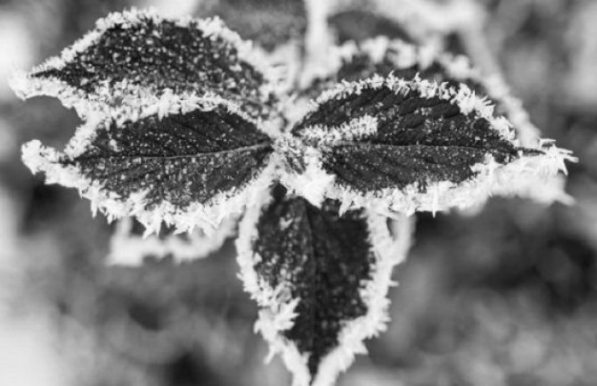 Evo kakvo nas vrijeme očekuje za dane vikenda