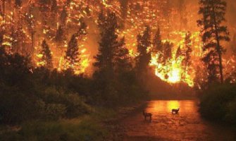 Više od 300 požara bjesni Viktorijom 