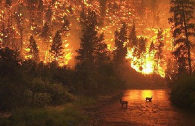 Više od 300 požara bjesni Viktorijom 