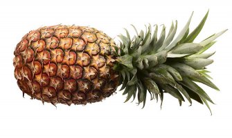 Holandija: U pošiljci ananasa pronađen kokain vrijednosti 30 miliona eura