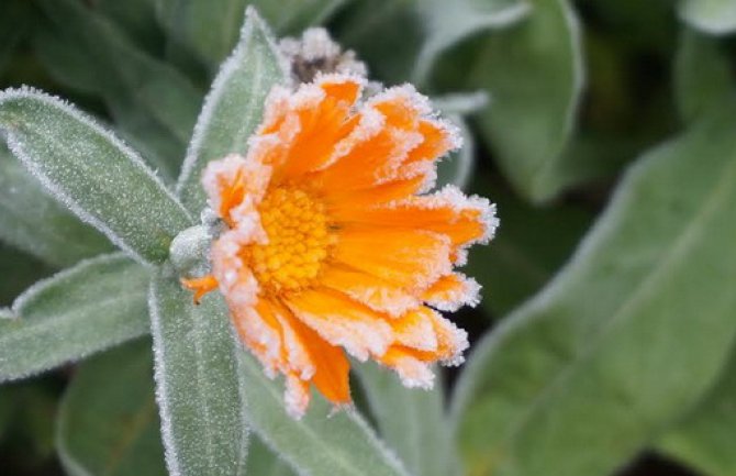 Sjutra promjenljivo oblačno i suvo