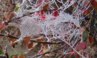 Evo kakvo nas vrijeme očekuje u poslednjim danima 2015.