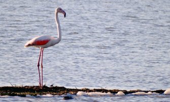 Kako sačuvati ono što imamo?