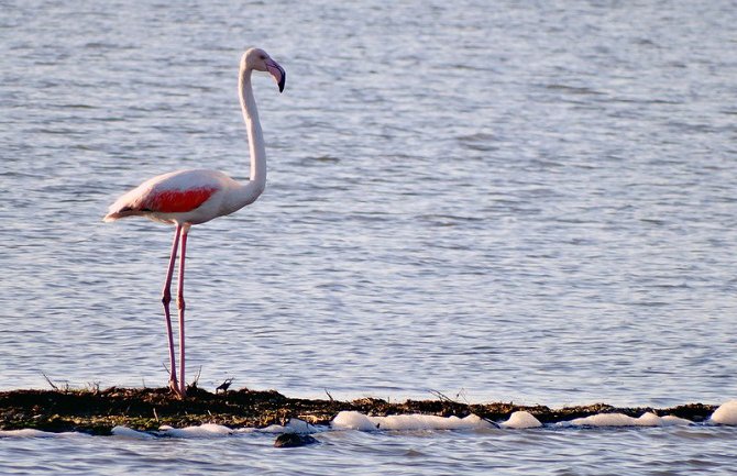 Kako sačuvati ono što imamo?