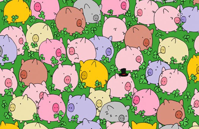 Možete li da pronađete djetelinu sa 4 lista?